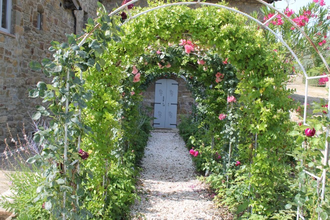 The rose garden at Fattoria di Montemaggio