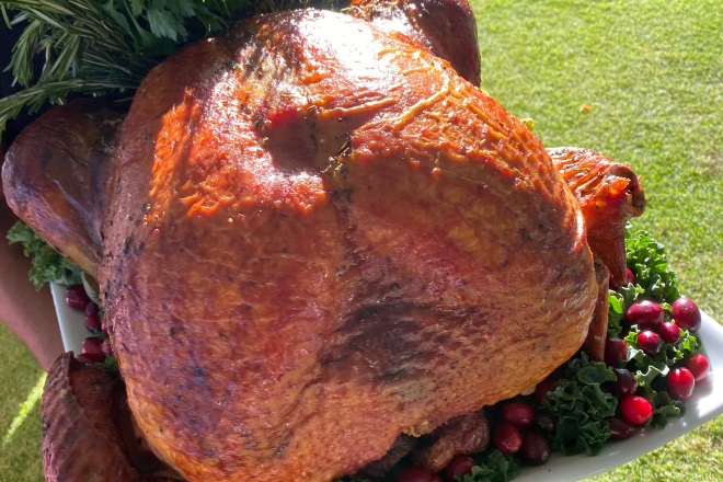 Thanksgiving Turkey paired with Italian Wines